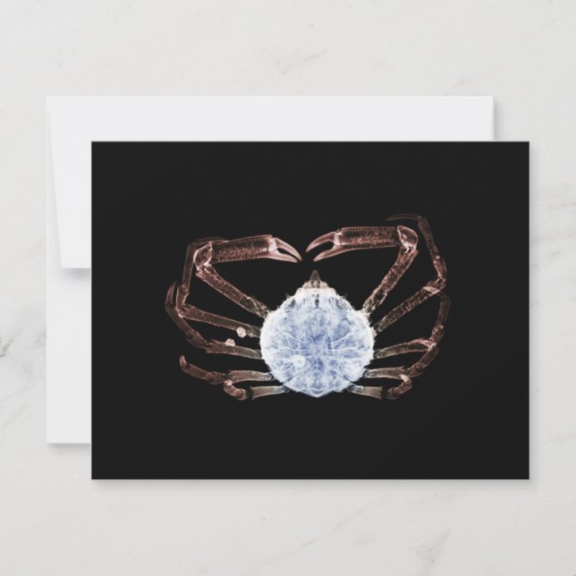 X-Ray Crab Note Card (Front)