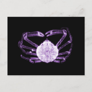 X-Ray Crab Postcard