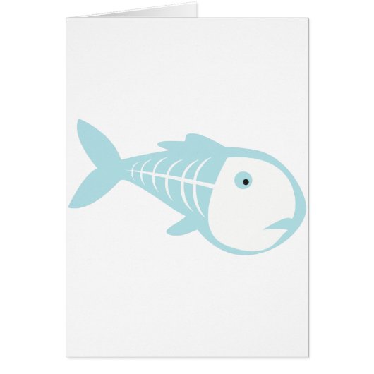 X-Ray Fish Cards (Front)