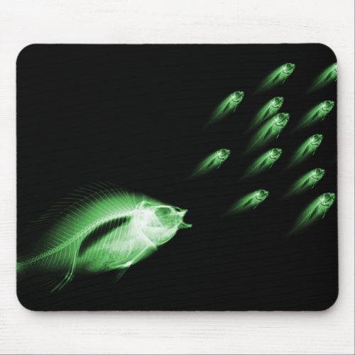 X_RAY FISH CHASE BLACK GREEN MOUSE PAD