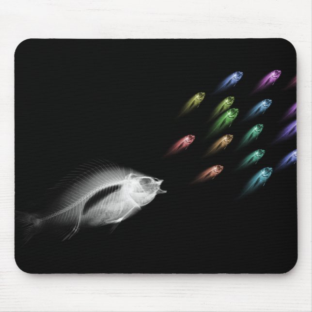 X-RAY FISH CHASE - RAINBOW MOUSE PAD (Front)