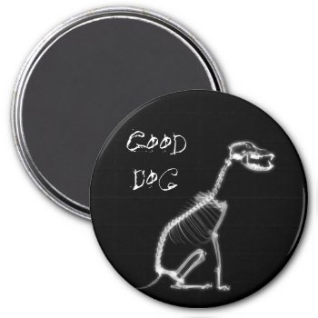 X-ray Good Dog Skeleton Sitting - B&w Magnet by VoXeeD at Zazzle
