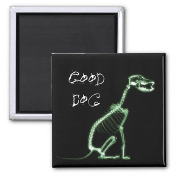 X-ray Good Dog Skeleton Sitting - Green Magnet by VoXeeD at Zazzle
