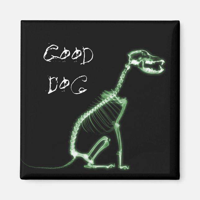 X-RAY GOOD DOG SKELETON SITTING - GREEN MAGNET (Front)
