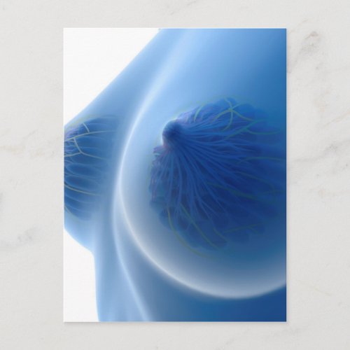 X_Ray Image Of Female Breast Anatomy Postcard