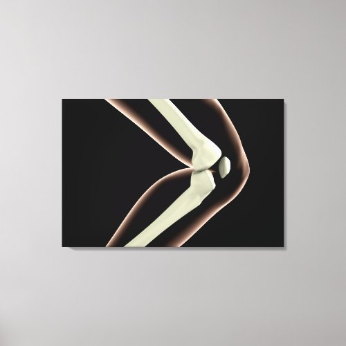 X_Ray Image Of Knee 1 Canvas Print