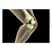 X-Ray Image Of Knee 2 (Front Horizontal)