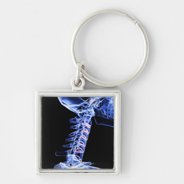 X-ray image of the bones of the neck keychain (Front)