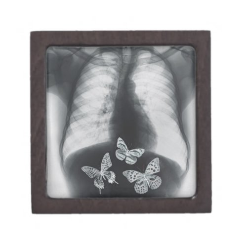 X_ray of butterflies in the stomach gift box