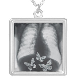 X-ray of butterflies in the stomach silver plated necklace