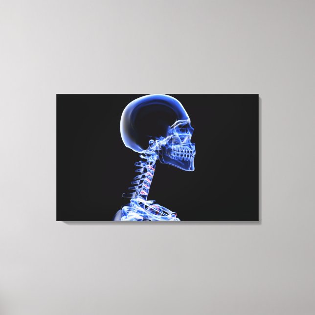 X-ray of the bones in the neck canvas print (Front)