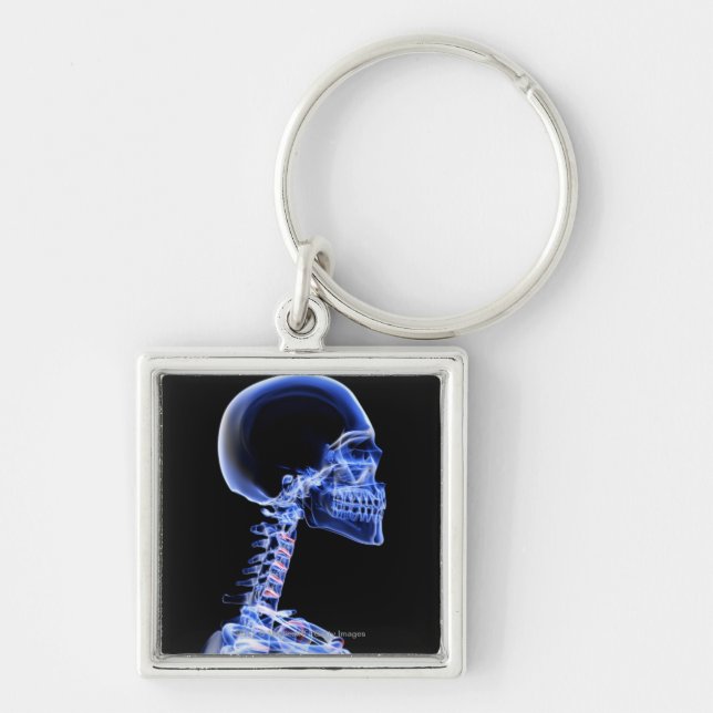 X-ray of the bones in the neck keychain (Front)