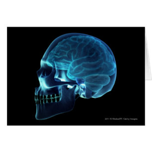 X-ray of the brain inside a skull cards