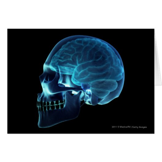 X-ray of the brain inside a skull cards (Front Horizontal)