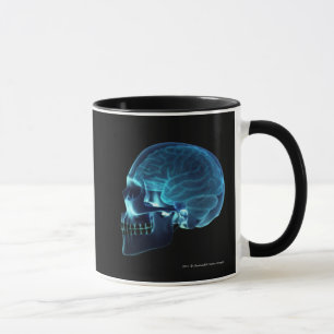 X-ray of the brain inside a skull mug