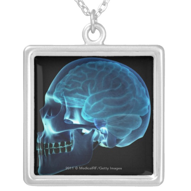 X-ray of the brain inside a skull silver plated necklace (Front)
