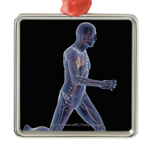 X-ray of the vascular system in a running man metal ornament