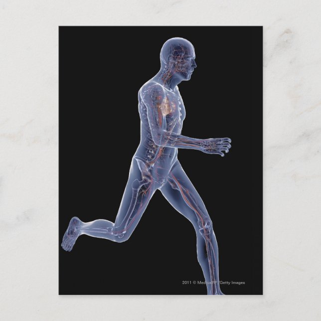 X-ray of the vascular system in a running man postcard (Front)
