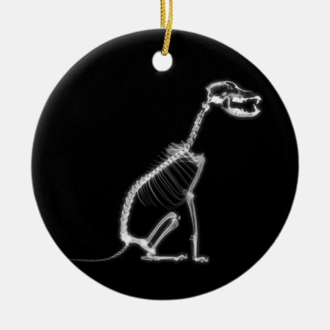 X-RAY PUPPY DOG SKELETON SITTING - B&W CERAMIC ORNAMENT (Front)