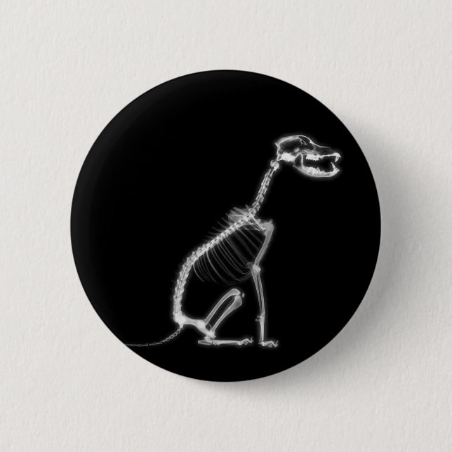 X-RAY PUPPY DOG SKELETON SITTING - B&W PINBACK BUTTON (Front)