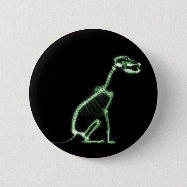 X-RAY PUPPY DOG SKELETON SITTING - GREEN BUTTON (Front)
