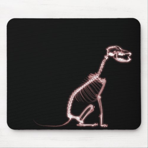 X_RAY PUPPY DOG SKELETON SITTING _ RED MOUSE PAD