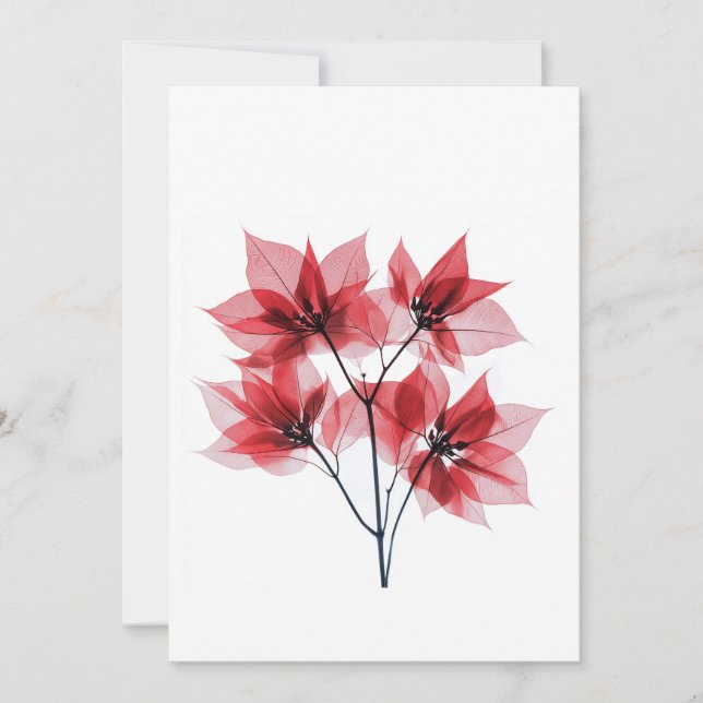 X-ray Red Poinsettia  Christmas  Holiday Card (Front)