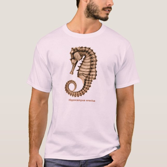 X-Ray Sea horse Hippocampus erectus Front/Back T-Shirt (Front)