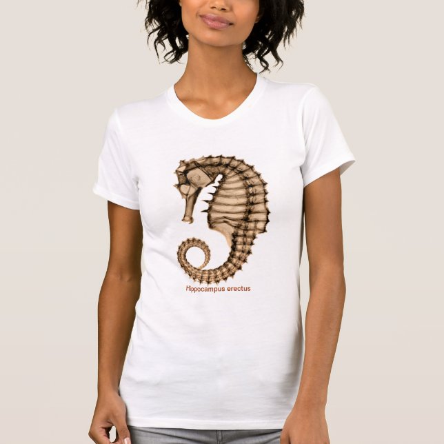 X-Ray Sea horse Hippocampus erectus Full Front T-Shirt (Front)