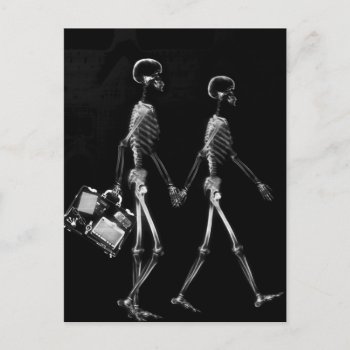 X-ray Skeleton Couple Travelling Black White Postcard by VoXeeD at Zazzle
