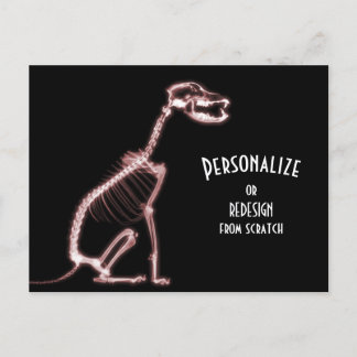 X-Ray Skeleton Dog - Red Postcard