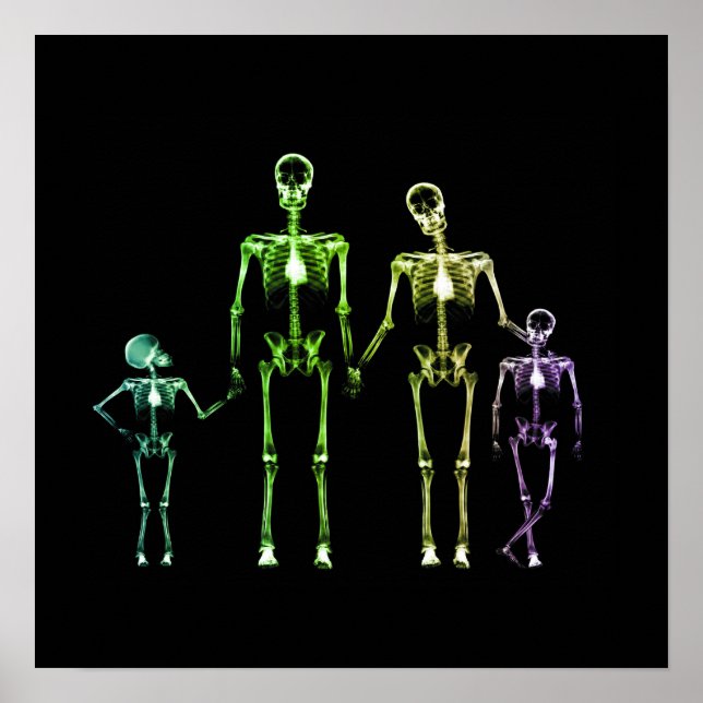 X-Ray Skeleton Family - Multicolor 1 Poster (Front)