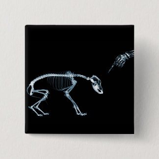 X-Ray Skeletons Bad Dog Blue Pinback Button