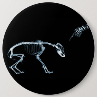 X-Ray Skeletons Blue Bad Dog Button
