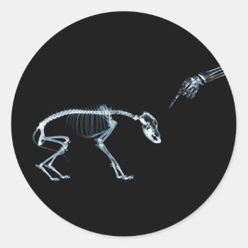 X-ray Skeletons Blue Bad Dog Classic Round Sticker by VoXeeD at Zazzle
