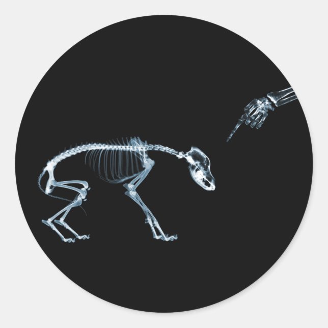 X-Ray Skeletons Blue Bad Dog Classic Round Sticker (Front)