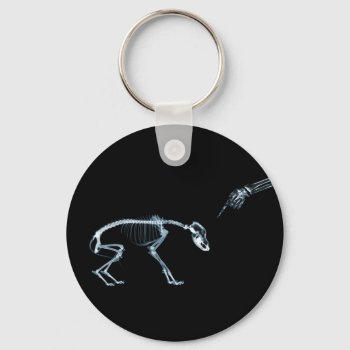 X-ray Skeletons Blue Bad Dog Keychain by VoXeeD at Zazzle