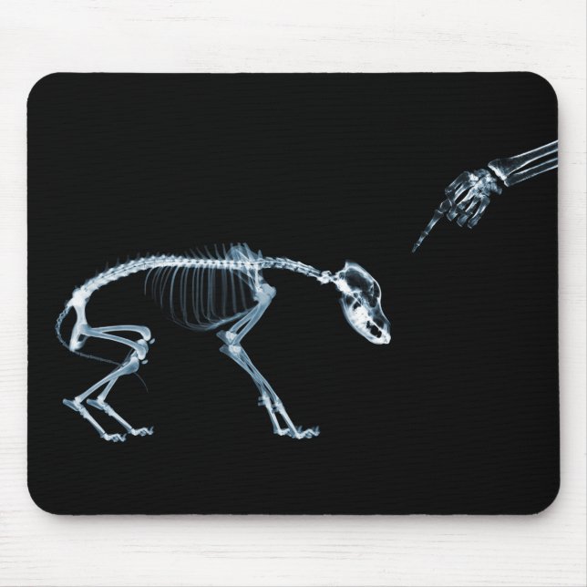 X-Ray Skeletons Blue Bad Dog Mouse Pad (Front)
