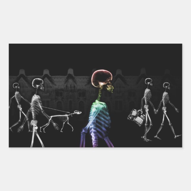 X-Ray Skeletons Midnight Stroll - B&W & Rainbow Rectangular Sticker (Front)