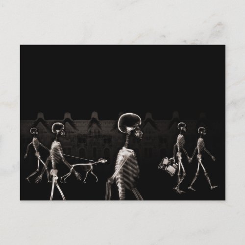 X_Ray Skeletons Midnight Stroll Black Sepia Postcard
