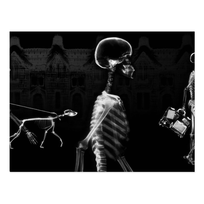 X Ray Skeletons Midnight Stroll Black White Postcards