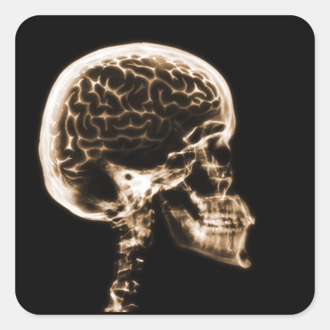 X-RAY SKULL BRAIN - ORANGE SQUARE STICKER (Front)