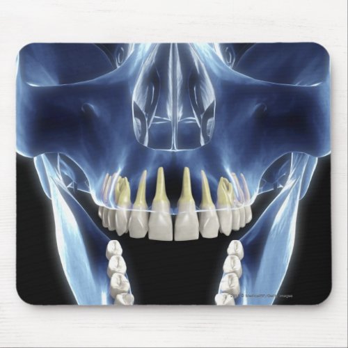 X_ray style look at human teeth mouse pad