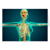 X-Ray View Of Female Upper Body Showing Rib Cage (Front Horizontal)