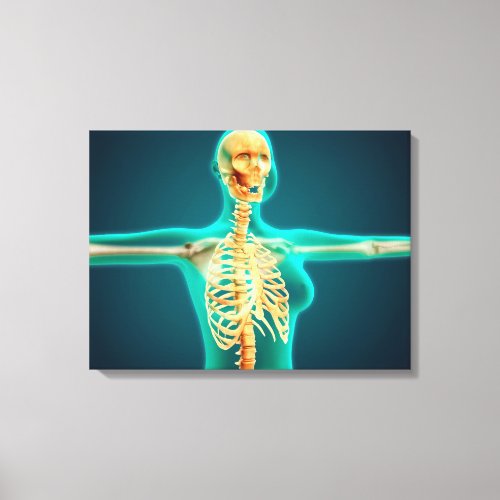 X_Ray View Of Female Upper Body Showing Rib Cage Canvas Print