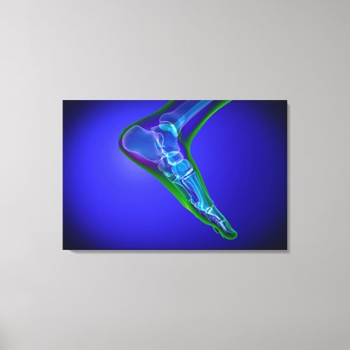 X_Ray View Of Human Foot 1 Canvas Print