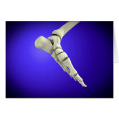 X-Ray View Of Human Foot 2 (Front Horizontal)