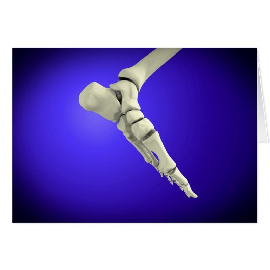 X-Ray View Of Human Foot 2 Cards (Front Horizontal)