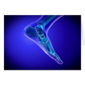 X-Ray View Of Human Foot 3 (Front Horizontal)