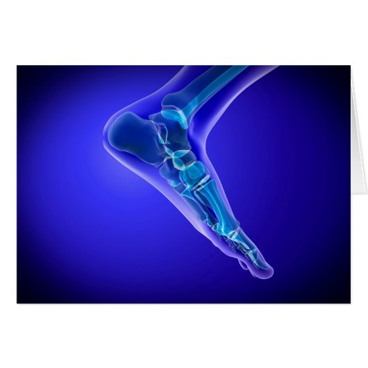 X-Ray View Of Human Foot 3 Cards (Front Horizontal)